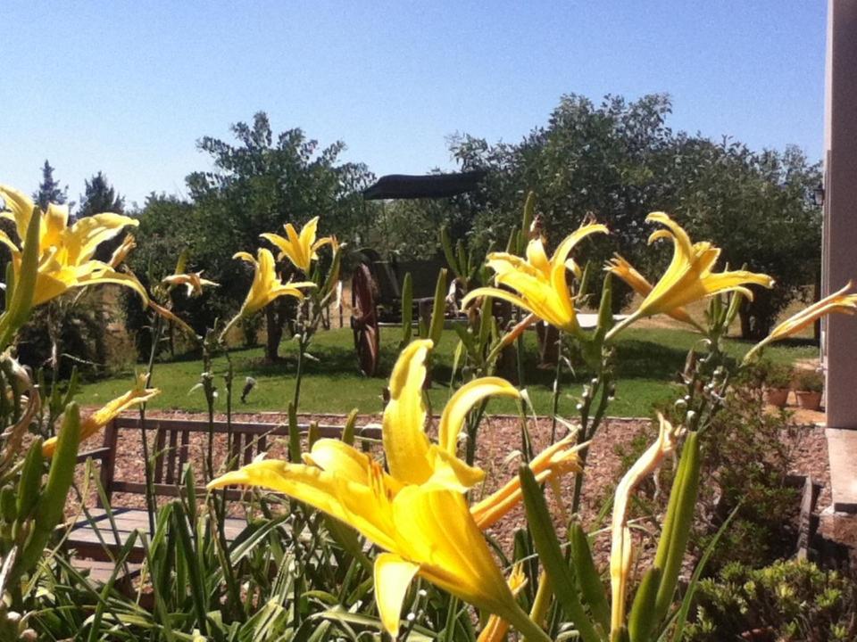 Hotel Solar Del Pago San Antonio de Areco Exterior foto